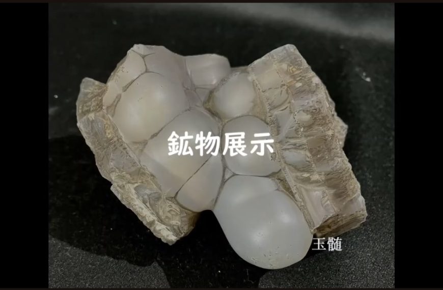 地学会