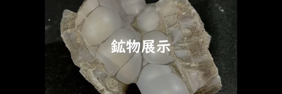 地学会