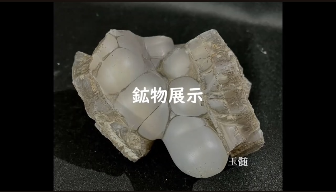 地学会
